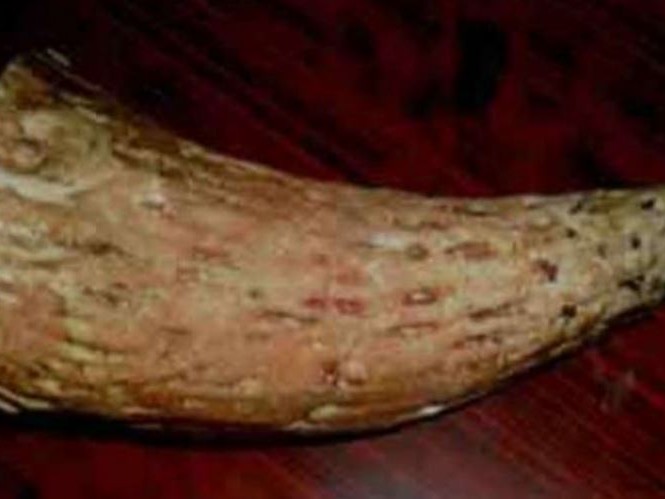 निकुञ्जद्वारा नौ तस्करी मुद्दाका आरोपी सार्वजनिक